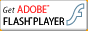 ADOBE FLASHPLAYER