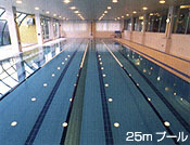 25mv[